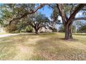 Expansive front yard featuring mature trees, providing shade and a sense of privacy for this inviting single Gathering home at 2775 Sw 53Rd St, Ocala, FL 34471