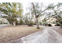 Long, curved driveway leading to the house surrounded by mature trees at 5526 Se 170Th Ct, Ocklawaha, FL 32179