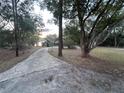 Long, curved driveway leading to the house surrounded by mature trees and a lake at 5526 Se 170Th Ct, Ocklawaha, FL 32179