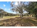 Large backyard with mature trees and fencing at 10215 Sw 134Th Ct, Dunnellon, FL 34432