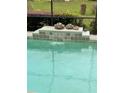 Sparkling pool with a tiled waterfall feature, decorative frog statues, and lush green landscaping at 10100 Se 69Th Ave, Belleview, FL 34420