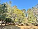 Expansive yard with mature trees providing shade and a view of the surrounding landscape at 4530 Ne 112Th Ln, Anthony, FL 32617