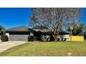 Well-kept single-story home with a mature shade tree, lush lawn, and two-car garage at 4691 Se 138Th Pl, Summerfield, FL 34491