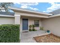 Close-up of front entrance with blue door, neutral siding, and manicured landscaping at 5910 Sw 89Th St, Ocala, FL 34476