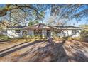 Daytime front exterior shot showcasing a freshly painted, single-story home with well-manicured landscaping at 1126 Ne 34Th Ave, Ocala, FL 34470