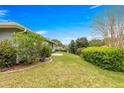 Expansive backyard featuring lush green grass, mature trees, and manicured shrubbery at 11593 Sw 75Th Cir, Ocala, FL 34476