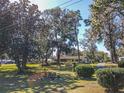 Beautiful front yard view with mature trees and well-maintained landscaping at 10376 Se 43Rd Ct, Belleview, FL 34420