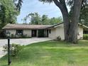 Single story home features a large front yard, mature trees, a lamp post, and long driveway at 1008 Se 26Th St, Ocala, FL 34471