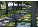 Long driveway leading to the house through a lush green lawn with scattered trees, conveying a sense of seclusion at 8585 Nw 162Nd Ct, Morriston, FL 32668