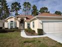 Charming single-story home with manicured lawn and a two-car garage with a brown roof at 11663 Sw 72Nd Cir, Ocala, FL 34476