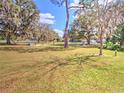 Scenic park view with mature trees, picnic benches, and playground equipment under blue skies at 1022 Ne 11Th Ave, Ocala, FL 34470