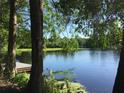 Scenic lake view framed by lush trees from the home's waterfront location at 11720 Cherokee Cir, Dunnellon, FL 34431