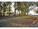 Spacious backyard with mature trees, offering ample space for recreation at 13700 Sw 48Th Ct, Ocala, FL 34473