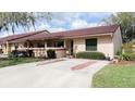 Charming single-story home with a well-manicured front yard and a spacious driveway at 3447 Sw 19Th Pl, Ocala, FL 34474