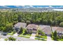 Scenic aerial view of a residential area with houses surrounded by lush green trees at 1073 Vinsetta Cir, Winter Garden, FL 34787