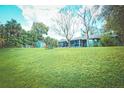 Large backyard with lush green grass, mature trees and a shed is ideal for outdoor activities and relaxation at 9795 Ne 303Rd Ave, Salt Springs, FL 32134