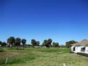 Scenic view of a well-maintained golf course with palm trees under a bright blue sky at 13686 Sw 111Th Ave, Dunnellon, FL 34432