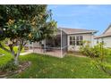 A serene backyard featuring a screened lanai, lush lawn, mature tree with fruit and verdant landscaping at 17959 Se 89Th Natchez Ave, The Villages, FL 32162