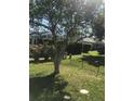 Well-maintained backyard featuring a lush lawn, mature trees, and fenced perimeter at 509 Del Mar Dr, Lady Lake, FL 32159