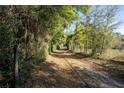 Picturesque driveway covered in autumn leaves, framed by an archway of green trees creating a natural tunnel at 2570 Se Highway 42, Summerfield, FL 34491