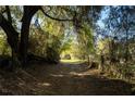 Shaded driveway winding through lush greenery and trees, creating a serene entrance to the property at 2570 Se Highway 42, Summerfield, FL 34491