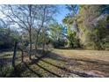 A fenced, grass-covered expanse bordered by trees, offering a versatile outdoor area for recreation or development at 2570 Se Highway 42, Summerfield, FL 34491
