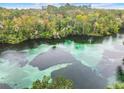 Stunning aerial view of a clear spring-fed river surrounded by lush green trees at 8869 Sw 194Th Ct, Dunnellon, FL 34432