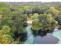 Scenic aerial view of a natural spring and lush surroundings at 8869 Sw 194Th Ct, Dunnellon, FL 34432