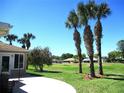 A beautiful backyard featuring a concrete patio, well-maintained lawn, and mature palm trees at 13780 Sw 111Th Ave, Dunnellon, FL 34432