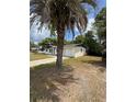 Side angle view of a one-story home with a palm tree and an attached garage at 333 Marion Oaks Dr, Ocala, FL 34473