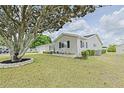 Well-manicured lawn complements the cozy home with a large, mature tree at 17475 Se 107Th Ct, Summerfield, FL 34491