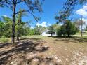 Expansive front yard, ideal for outdoor activities, framed by mature trees under a bright sky at 23177 Sw Beach Blvd, Dunnellon, FL 34431