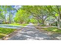 Scenic street view lined with mature trees, sidewalks, and well-maintained homes on a sunny day at 8851 Sw 97Th St # A, Ocala, FL 34481