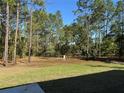 Large green backyard with wooded lot and some trees, offering privacy and shade at 6101 Sw 206Th Ave, Dunnellon, FL 34431
