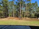 Spacious backyard with lush green grass surrounded by tall trees, offering privacy and shade at 6101 Sw 206Th Ave, Dunnellon, FL 34431