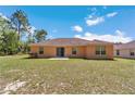 The back of the single story home with sliding glass door and large back yard at 13173 Sw 65Th Cir, Ocala, FL 34473