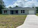 A single-story home with a neutral color scheme and a driveway leading to the attached one-car garage at 87 Guava Pass Dr, Ocklawaha, FL 32179