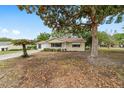 Inviting home exterior with mature trees, manicured lawn, and sidewalk at 8371 Sw 109Th St, Ocala, FL 34481