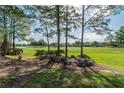 Scenic view of the golf course with lush green grass and trees in the background at 9101 Sw 91St Cir, Ocala, FL 34481