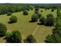 Beautiful aerial view of expansive acreage featuring mature trees, green grass and an overgrown road at 11420 Nw 110Th Ave, Reddick, FL 32686
