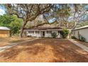 Inviting single-story home with a lush front yard and mature trees providing shade at 18027 Se 90Th St, Ocklawaha, FL 32179