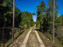 Long, private driveway leading through lush greenery to a secluded property at 23800 Ne 190Th St, Fort Mc Coy, FL 32134