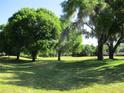 Lush green field with mature trees creating a serene, shaded landscape at 13675 Sw 111Th Ave, Dunnellon, FL 34432