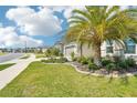 Beautiful home featuring a well-maintained lawn and front yard with a mature palm tree at 8875 Sw 58Th Street Rd, Ocala, FL 34481