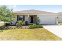 Beautiful front yard with mature tree and meticulously maintained landscaping at 8952 Sw 79Th Ln, Ocala, FL 34481