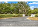 View of the driveway leading to this inviting property, showcasing mature landscaping at 16891 Ne 243Rd Place Rd, Fort Mc Coy, FL 32134