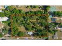 Aerial view of a large property outlined in red, showcasing mature trees, the home, and surrounding neighborhood at 1039 Ne 25Th St, Ocala, FL 34470