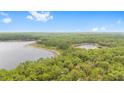 Stunning aerial view showcasing the vast landscape featuring lakes, forest, and natural beauty at 14620 Se 47Th Loop, Ocklawaha, FL 32179