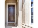A close up shot of the front entry door, showing detail and design at 9063 Sw 59Th Lane Rd, Ocala, FL 34481