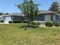 Well-manicured lawn with mature tree in the front yard of a one-story home at 11411 Sw 138Th Ln, Dunnellon, FL 34432